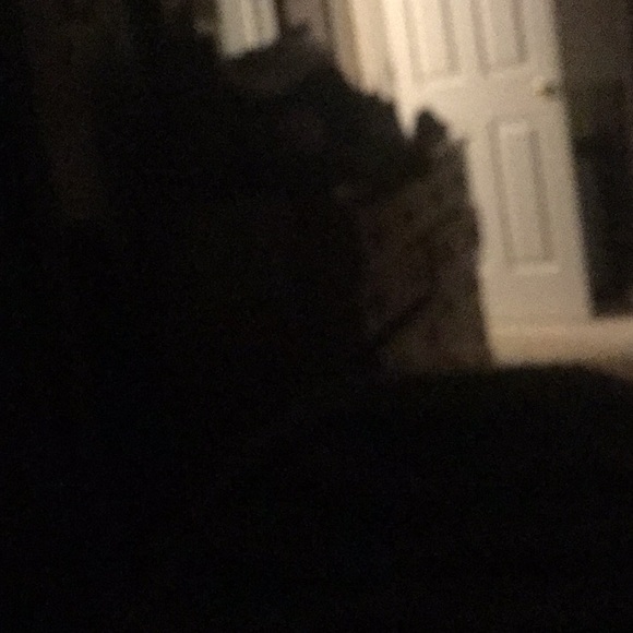 Meet your Posher, Robin - Picture 1 of 1